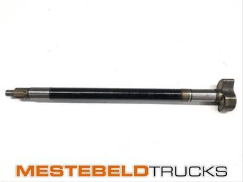 المحور الخلفي