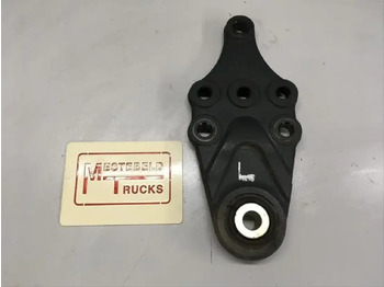 : صورة رأس الصفحة