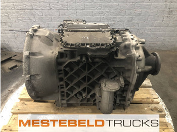 : صورة رأس الصفحة