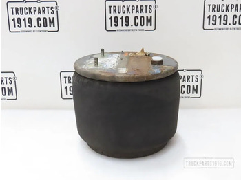 تعليق هوائي DAF