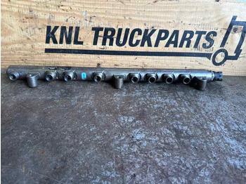 : صورة رأس الصفحة