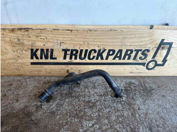 : صورة رأس الصفحة