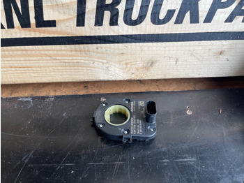 : صورة رأس الصفحة