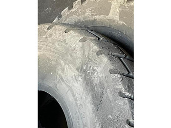 الإطارات