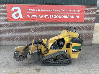 : صورة رأس الصفحة