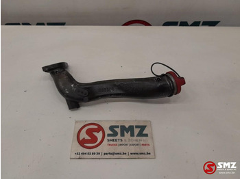 : صورة رأس الصفحة