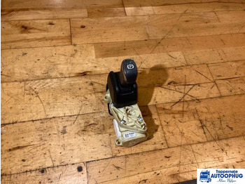 : صورة رأس الصفحة