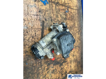 : صورة رأس الصفحة