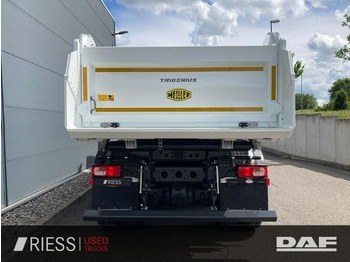 DAF XD 450 FAD 8x4 Meiller Trigenius Bordmatik  إيجار DAF XD 450 FAD 8x4 Meiller Trigenius Bordmatik: صور 3