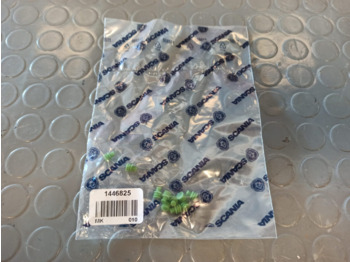 : صورة رأس الصفحة