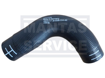 : صورة رأس الصفحة