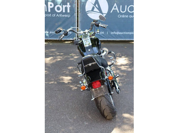 دراجة بخارية Harley-Davidson Softail Custom: صور 5 دراجة بخارية Harley-Davidson Softail Custom: صور 5