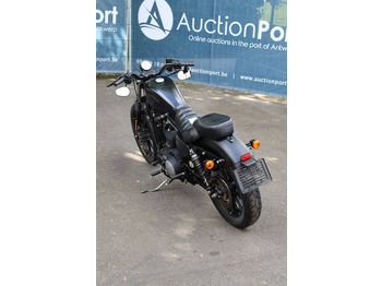 دراجة بخارية Harley-Davidson Sportster XL 883 Iron: صور 4