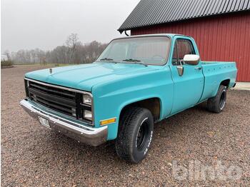 شاحنة البيك أب Chevrolet C20: صور 1