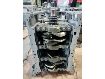 : صورة رأس الصفحة