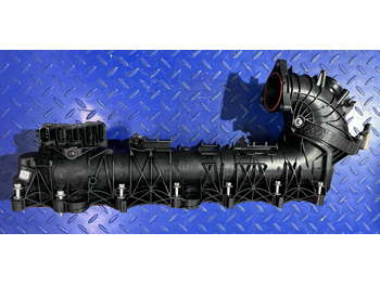 : صورة رأس الصفحة