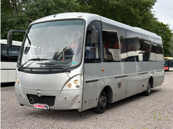 حافلة صغيرة IVECO