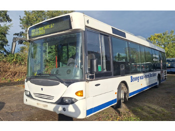 : صورة رأس الصفحة