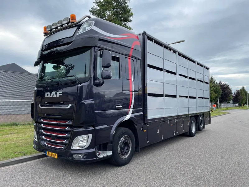 DAF XF 460 2017 berdex 3 lagen varkens - شاحنة نقل المواشي شاحنة: صور 1 DAF XF 460 2017 berdex 3 lagen varkens - شاحنة نقل المواشي شاحنة: صور 1