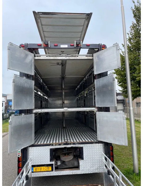 DAF XF 460 2017 berdex 3 lagen varkens - شاحنة نقل المواشي شاحنة: صور 3 DAF XF 460 2017 berdex 3 lagen varkens - شاحنة نقل المواشي شاحنة: صور 3