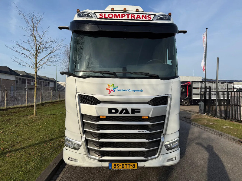 DAF XF 480 2023 XG 480 - شاحنة جرار: صور 5 DAF XF 480 2023 XG 480 - شاحنة جرار: صور 5