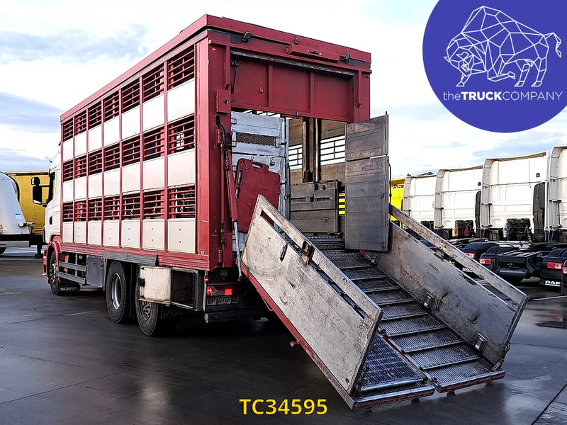 Scania R 500 - شاحنة نقل المواشي شاحنة: صور 3 Scania R 500 - شاحنة نقل المواشي شاحنة: صور 3