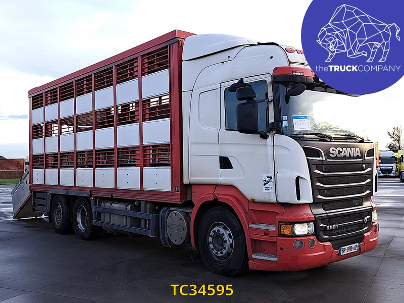 Scania R 500 - شاحنة نقل المواشي شاحنة: صور 2 Scania R 500 - شاحنة نقل المواشي شاحنة: صور 2