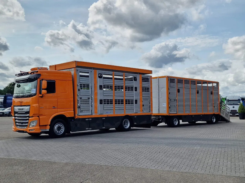 DAF XF 530 4x2 - Livestock Menke 2 deck + 2018 Menke trailer - Water + Ventilation - Lifting roof - شاحنة نقل المواشي شاحنة: صور 3 DAF XF 530 4x2 - Livestock Menke 2 deck + 2018 Menke trailer - Water + Ventilation - Lifting roof - شاحنة نقل المواشي شاحنة: صور 3