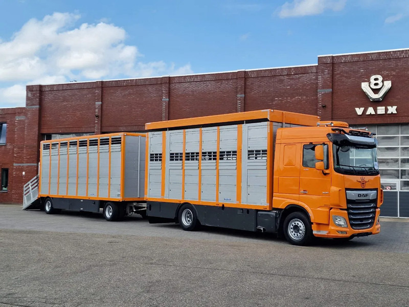 DAF XF 530 4x2 - Livestock Menke 2 deck + 2018 Menke trailer - Water + Ventilation - Lifting roof - شاحنة نقل المواشي شاحنة: صور 1 DAF XF 530 4x2 - Livestock Menke 2 deck + 2018 Menke trailer - Water + Ventilation - Lifting roof - شاحنة نقل المواشي شاحنة: صور 1