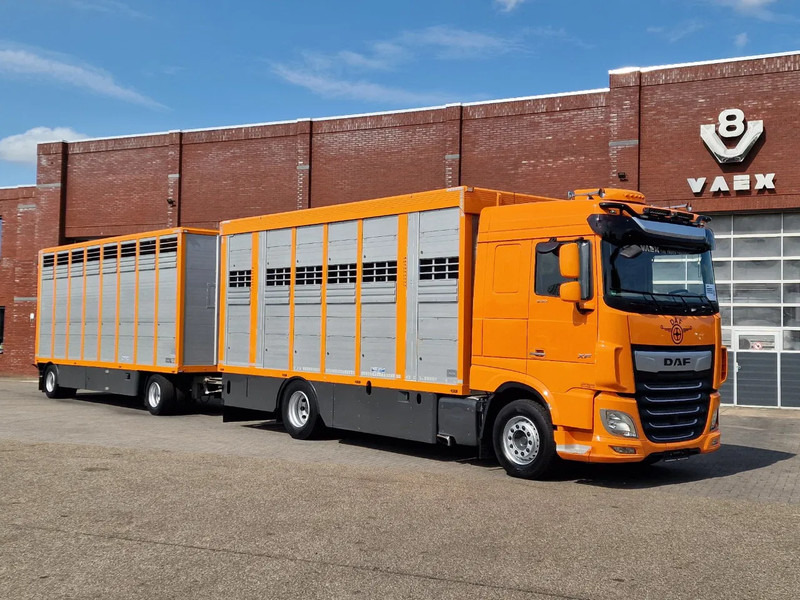 DAF XF 530 4x2 - Livestock Menke 2 deck + 2018 Menke trailer - Water + Ventilation - Lifting roof - شاحنة نقل المواشي شاحنة: صور 2 DAF XF 530 4x2 - Livestock Menke 2 deck + 2018 Menke trailer - Water + Ventilation - Lifting roof - شاحنة نقل المواشي شاحنة: صور 2
