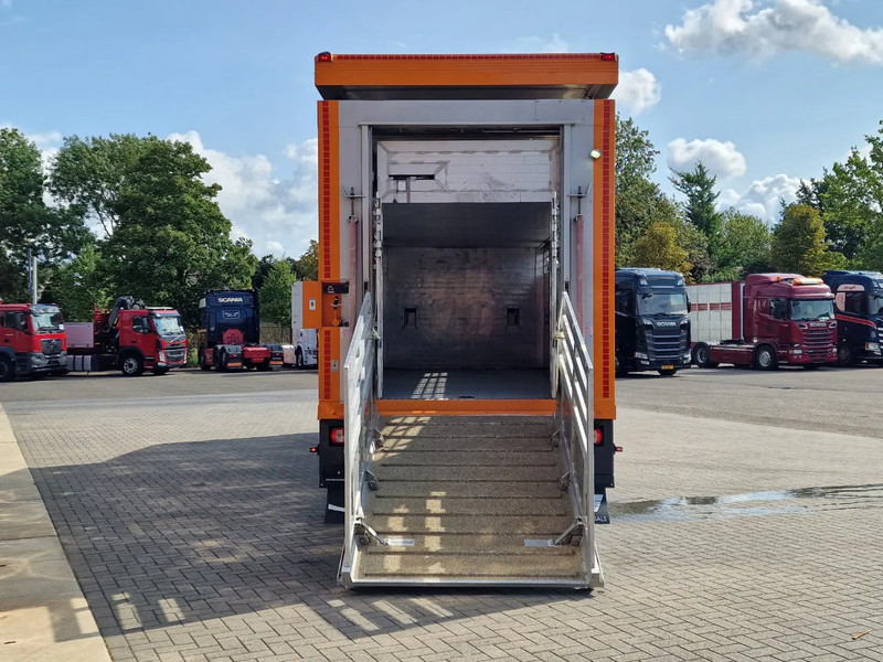 DAF XF 530 4x2 - Livestock Menke 2 deck + 2018 Menke trailer - Water + Ventilation - Lifting roof - شاحنة نقل المواشي شاحنة: صور 5 DAF XF 530 4x2 - Livestock Menke 2 deck + 2018 Menke trailer - Water + Ventilation - Lifting roof - شاحنة نقل المواشي شاحنة: صور 5