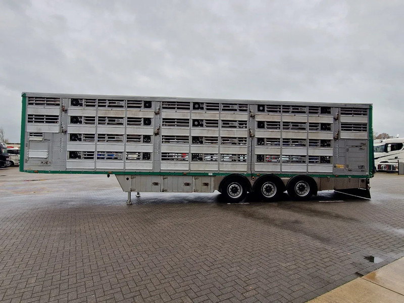 Pezzaioli 4 deck - Water & Ventilation - Lifting floors - Lifting roof - شاحنة نقل المواشي نصف مقطورة: صور 5 Pezzaioli 4 deck - Water & Ventilation - Lifting floors - Lifting roof - شاحنة نقل المواشي نصف مقطورة: صور 5