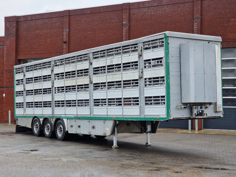 Pezzaioli 4 deck - Water & Ventilation - Lifting floors - Lifting roof - شاحنة نقل المواشي نصف مقطورة: صور 2 Pezzaioli 4 deck - Water & Ventilation - Lifting floors - Lifting roof - شاحنة نقل المواشي نصف مقطورة: صور 2