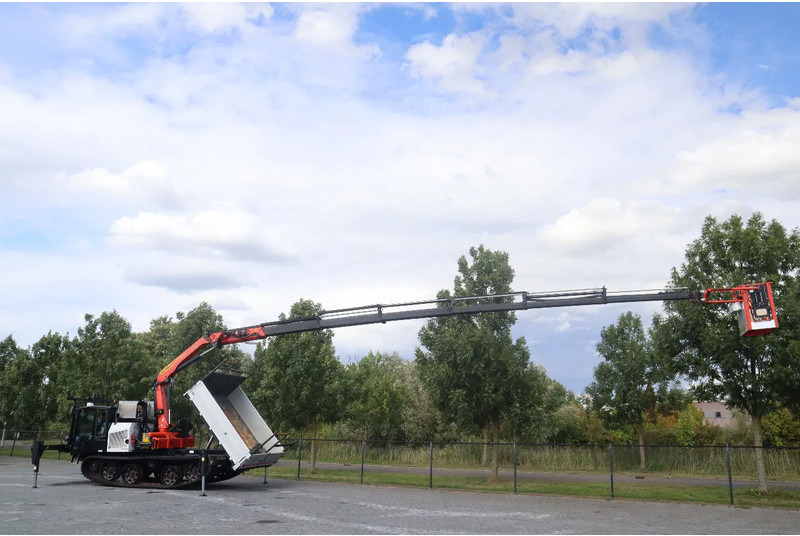 Prinoth PANTHER T8 | PALFINGER 18502 | WORK PLATFORM | CRANE / KRAN - عربات نقل قلابة مجنزرة: صور 2 Prinoth PANTHER T8 | PALFINGER 18502 | WORK PLATFORM | CRANE / KRAN - عربات نقل قلابة مجنزرة: صور 2