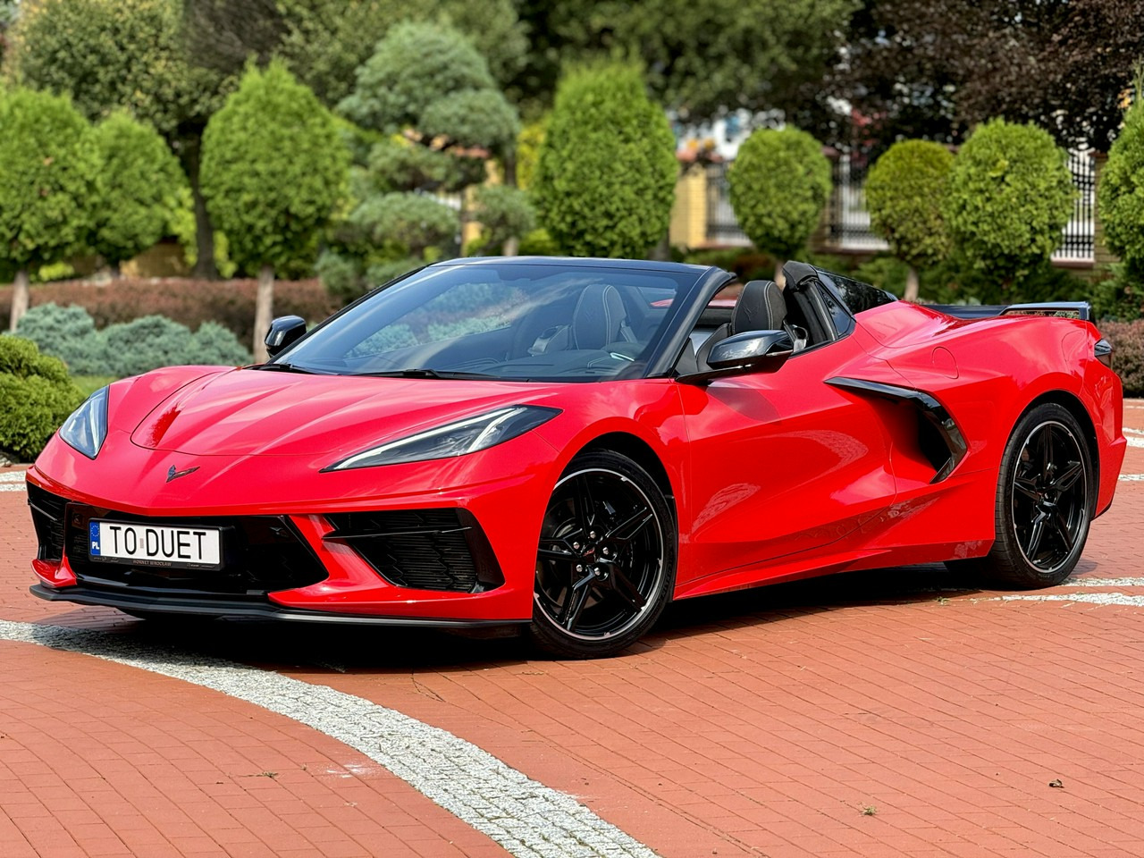 Chevrolet Corvette - كابريوليه: صور 1 Chevrolet Corvette - كابريوليه: صور 1