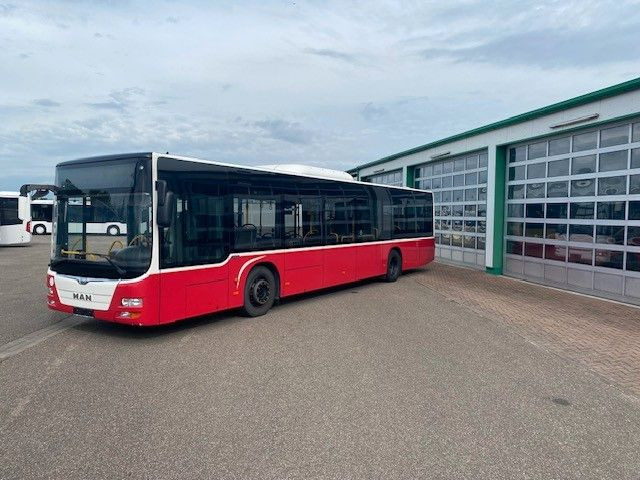 MAN A 21 Lions City KLIMA EURO 6 ZF EcoLife 2x - النقل الحضري: صور 5 MAN A 21 Lions City KLIMA EURO 6 ZF EcoLife 2x - النقل الحضري: صور 5