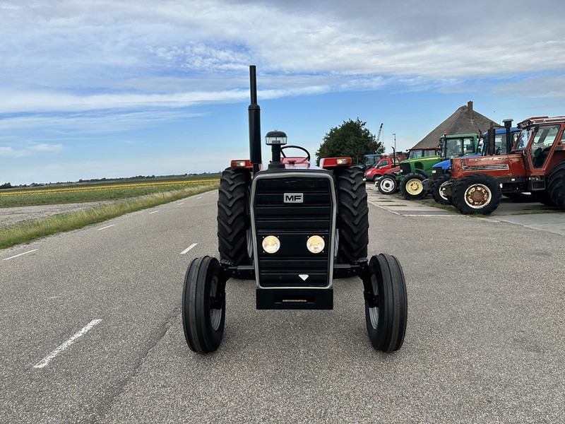 Massey Ferguson 290 - جرار: صور 2 Massey Ferguson 290 - جرار: صور 2