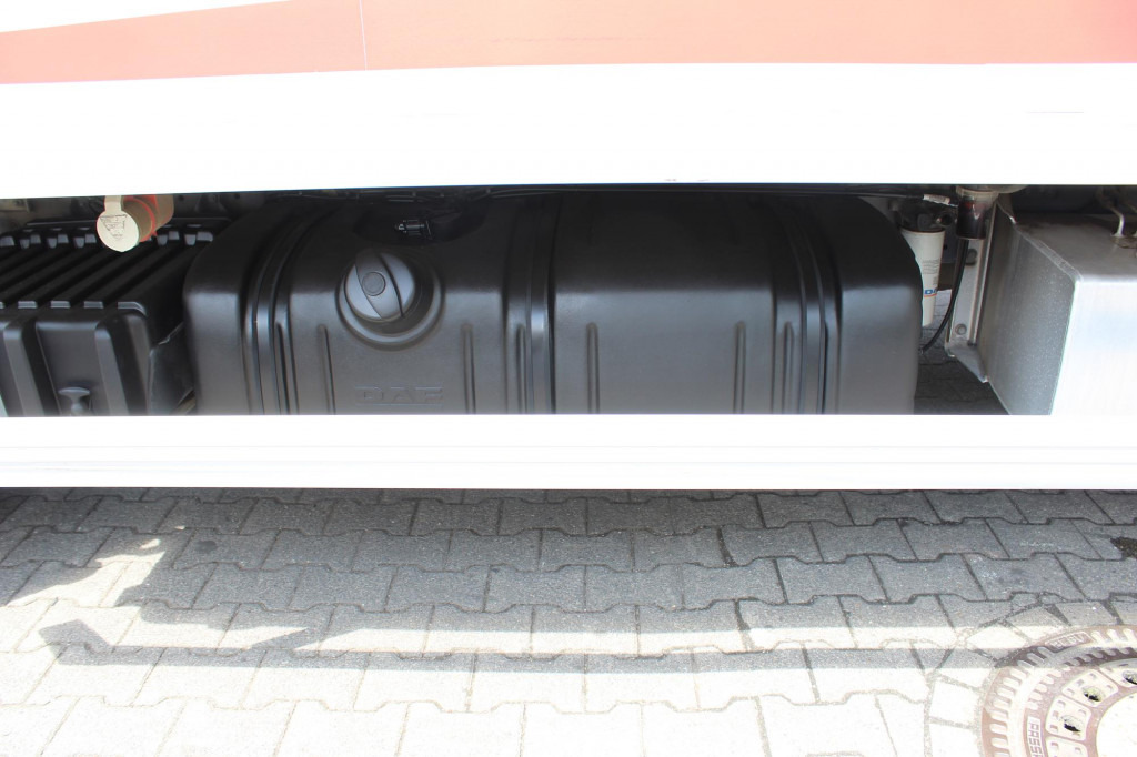 Daf LF 260 E6 Carrier Supra 550 Strom Tür LBW - مبردة شاحنة: صور 4 Daf LF 260 E6 Carrier Supra 550 Strom Tür LBW - مبردة شاحنة: صور 4