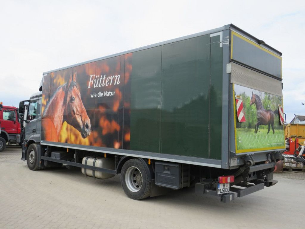 Mercedes-Benz Antos 1830 L nR 4x2 Standardkoffer LBW LBW 2to+F - بصندوق مغلق شاحنة: صور 3 Mercedes-Benz Antos 1830 L nR 4x2 Standardkoffer LBW LBW 2to+F - بصندوق مغلق شاحنة: صور 3