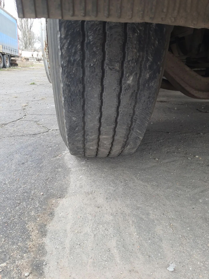 شاحنات مسطحة RENAULT Magnum 430 6x2 Grain truck: صور 21
