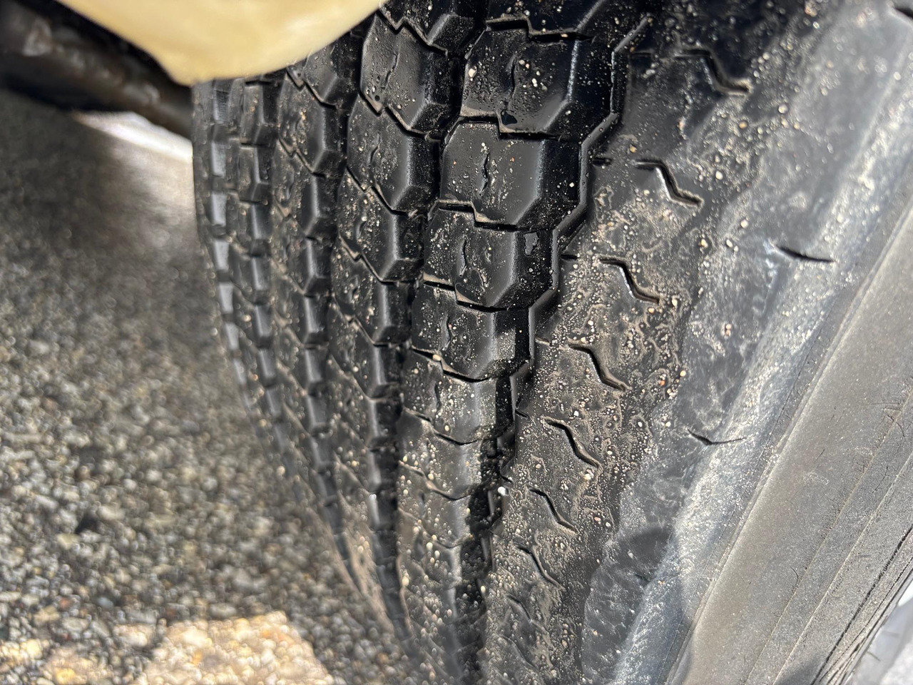 مبردة شاحنة SCANIA G490: صور 10 مبردة شاحنة SCANIA G490: صور 10