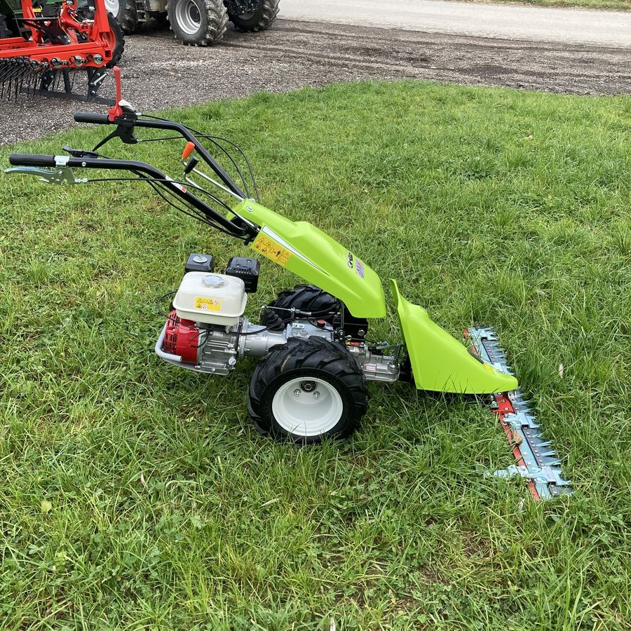 Grillo GF2 Motormäher - جزازة المروج: صور 4 Grillo GF2 Motormäher - جزازة المروج: صور 4