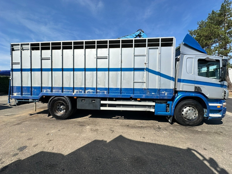 Scania P310 4x2 LIVESTOCK / VEEWAGEN / TIERTRANSPORT / BETAILLERE - ALU BOX 7m - MANUAL - A/C - BELGIAN TRUCK - شاحنة نقل المواشي شاحنة: صور 4 Scania P310 4x2 LIVESTOCK / VEEWAGEN / TIERTRANSPORT / BETAILLERE - ALU BOX 7m - MANUAL - A/C - BELGIAN TRUCK - شاحنة نقل المواشي شاحنة: صور 4