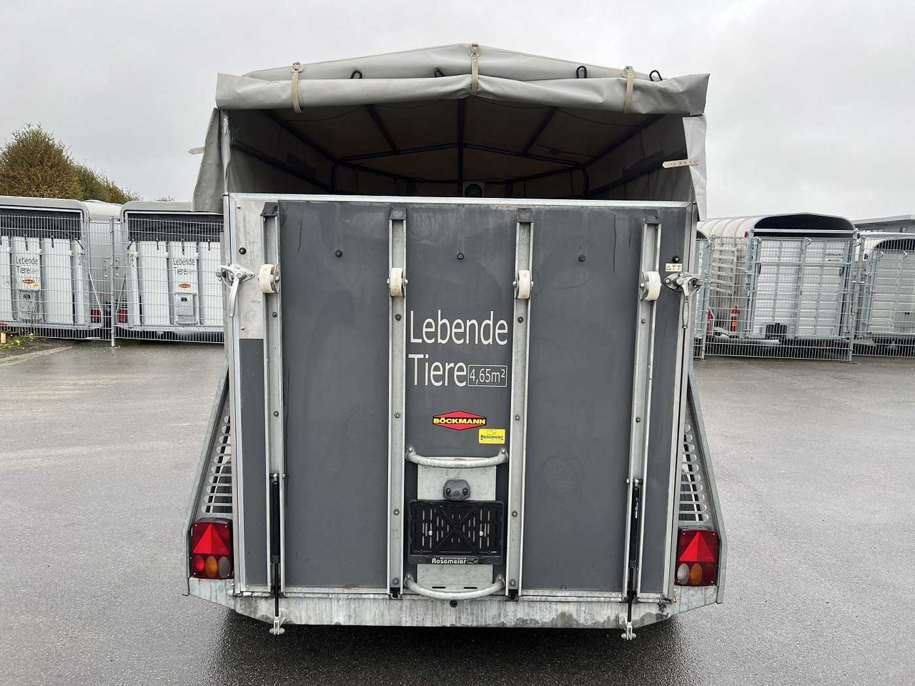 BOECKMANN VH 3016/24 Viehanhänger - شاحنة نقل المواشي مقطورة: صور 4 BOECKMANN VH 3016/24 Viehanhänger - شاحنة نقل المواشي مقطورة: صور 4