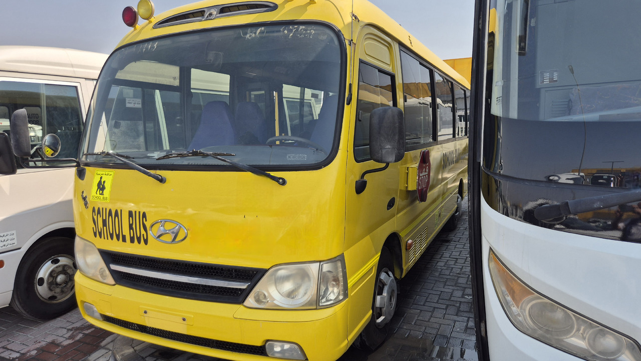 Toyota Coaster // Hyundai County... 30 places ... Climatisé - حافلة صغيرة, ميكروباص: صور 2 Toyota Coaster // Hyundai County... 30 places ... Climatisé - حافلة صغيرة, ميكروباص: صور 2