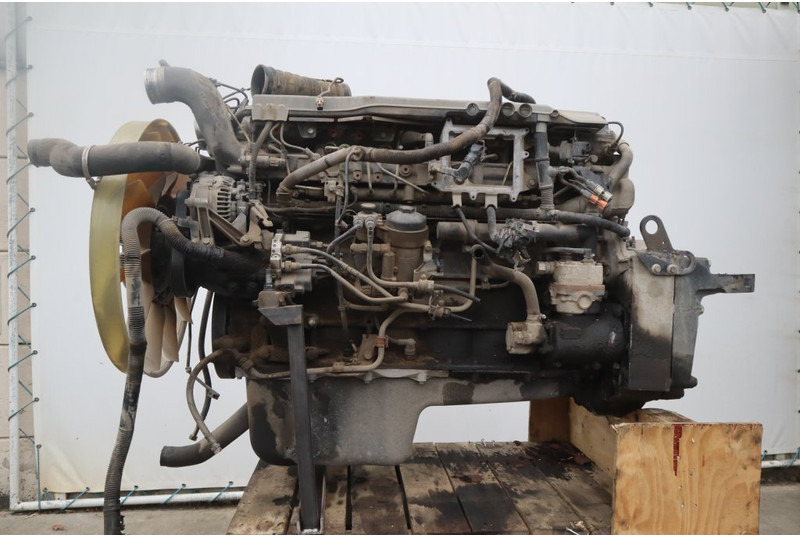 MAN D2676LF01 EURO4 480PS - المحرك - شاحنة: صور 3 MAN D2676LF01 EURO4 480PS - المحرك - شاحنة: صور 3