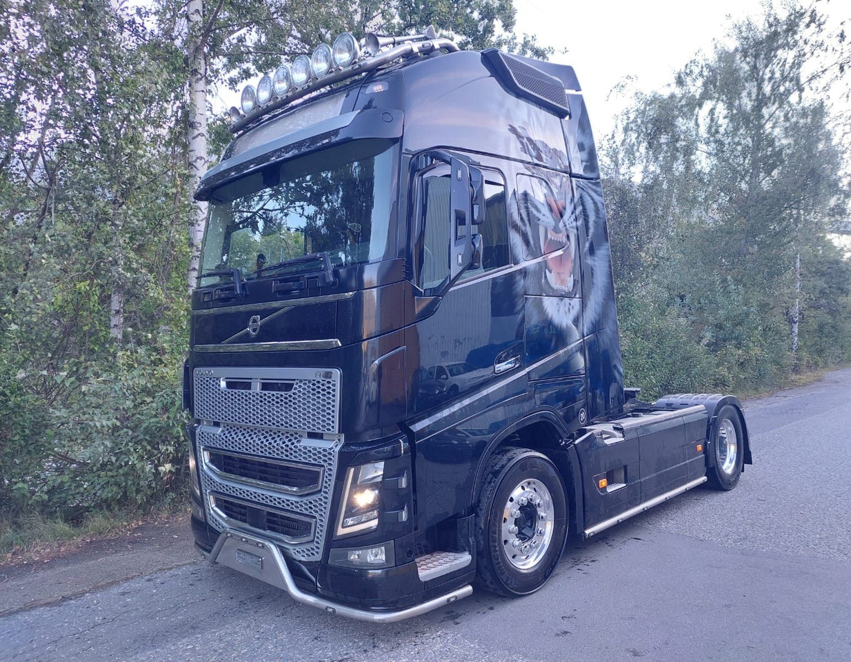Volvo FH16-650 4x2, Euro 6, VEB, airbrush - شاحنة جرار: صور 1 Volvo FH16-650 4x2, Euro 6, VEB, airbrush - شاحنة جرار: صور 1