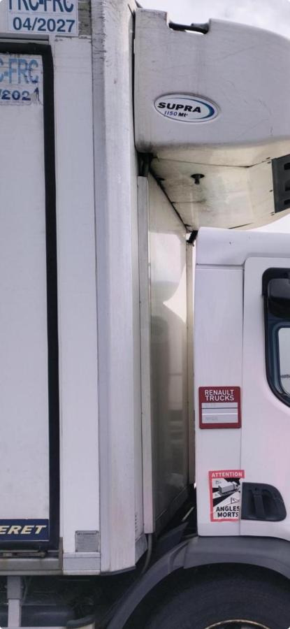 Renault D-Series Wide 320 - مبردة شاحنة: صور 3 Renault D-Series Wide 320 - مبردة شاحنة: صور 3
