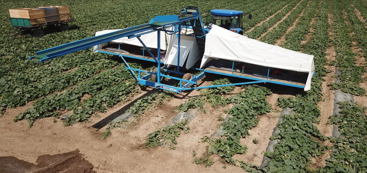 AGRO-LIFT Kombajn do ogórków - آلة حصاد: صور 3 AGRO-LIFT Kombajn do ogórków - آلة حصاد: صور 3