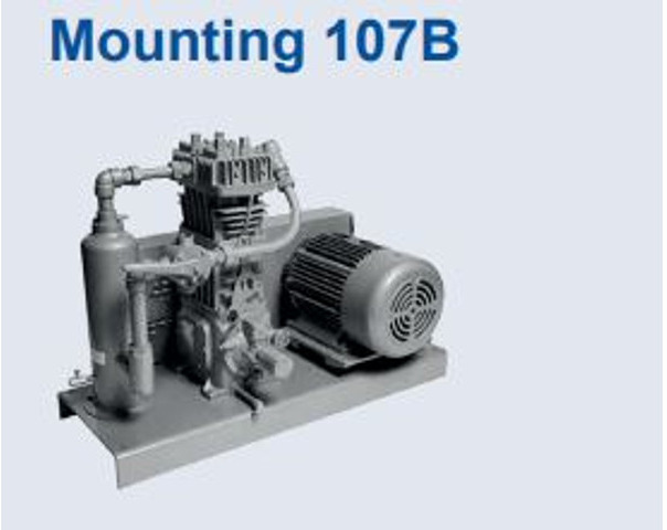 جديد ضاغط الهواء Corken 691 Compressor (mounted) Base plate/107 A/107B GAS, LPG, GPL, AUTOGAS Corken LPG/NH3 compressors are designed to transfer liquefied gases such as butane/propane mixtures (liquefied petroleum gas or LP: صور 6 جديد ضاغط الهواء Corken 691 Compressor (mounted) Base plate/107 A/107B GAS, LPG, GPL, AUTOGAS Corken LPG/NH3 compressors are designed to transfer liquefied gases such as butane/propane mixtures (liquefied petroleum gas or LP: صور 6